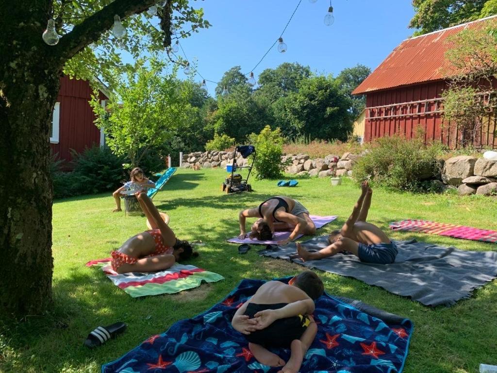 Mysig Stuga Naera Aestad Vingard & Spa Ästad Exterior foto